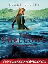 The Shallows